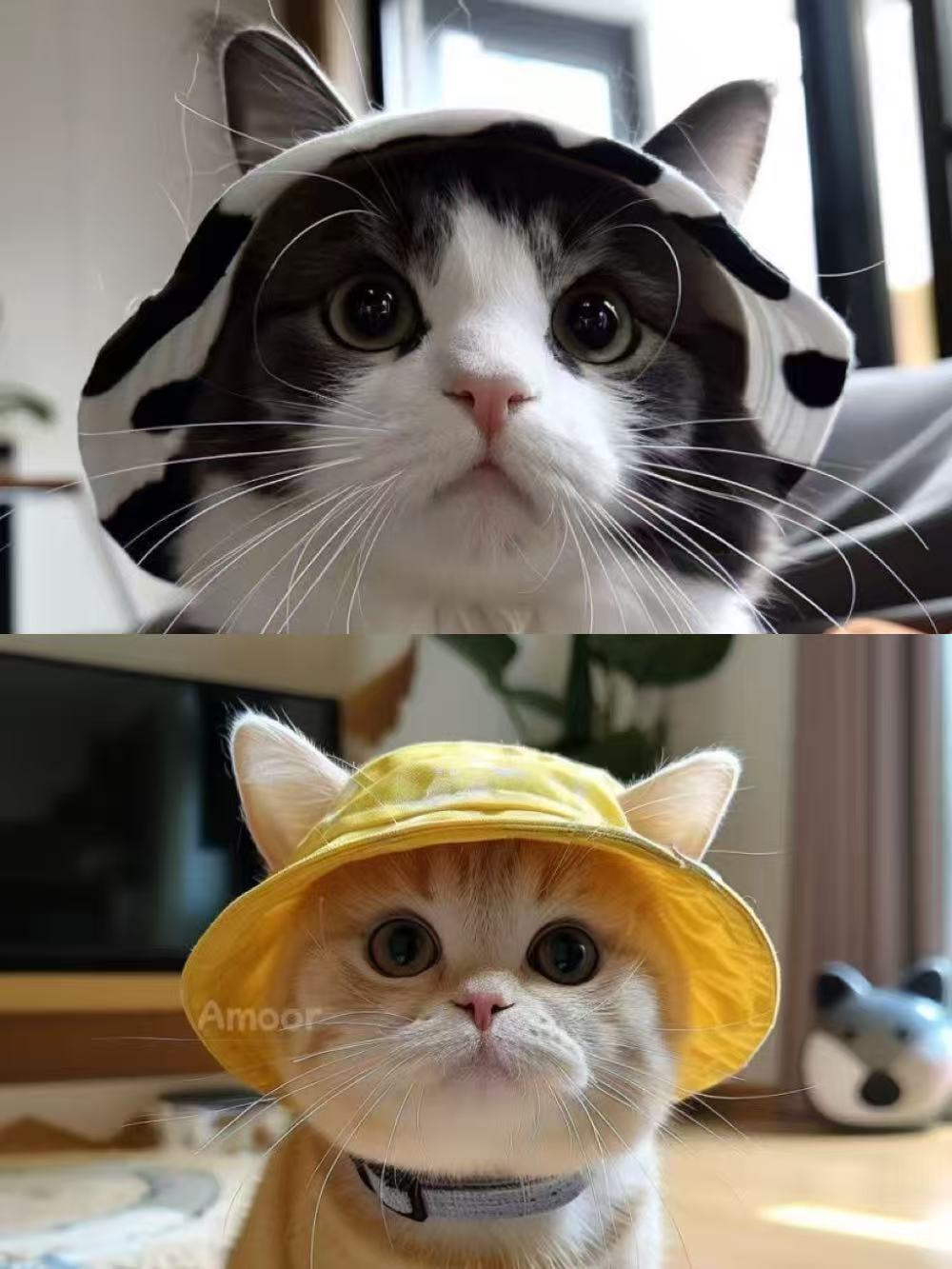 2Pcs Pet Bucket Hats for Cats & Dogser